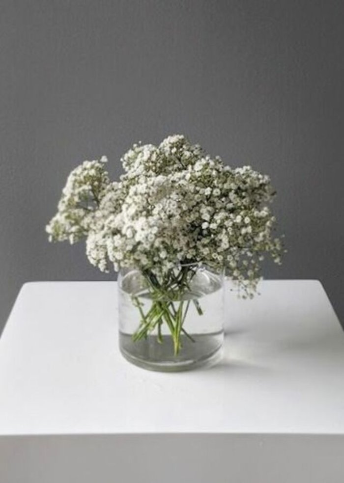 Baby\'s Breath Centerpiece
