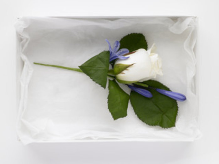 Rose & Alstroemeria Boutonniere