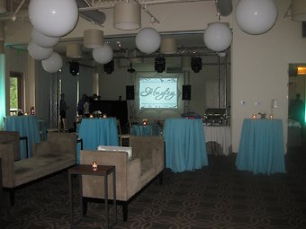 Teal & White Party Proximity