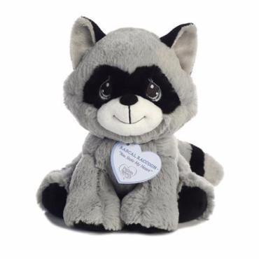 Rascal Raccoon