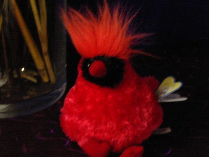 Cuddly Cardinal