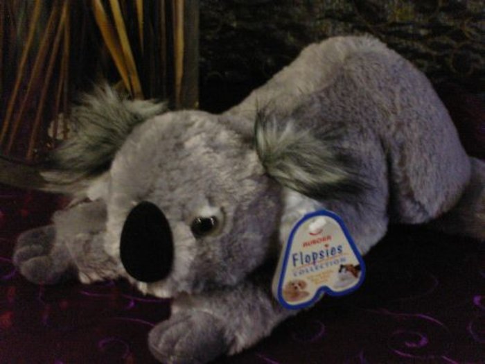 Kirby Koala