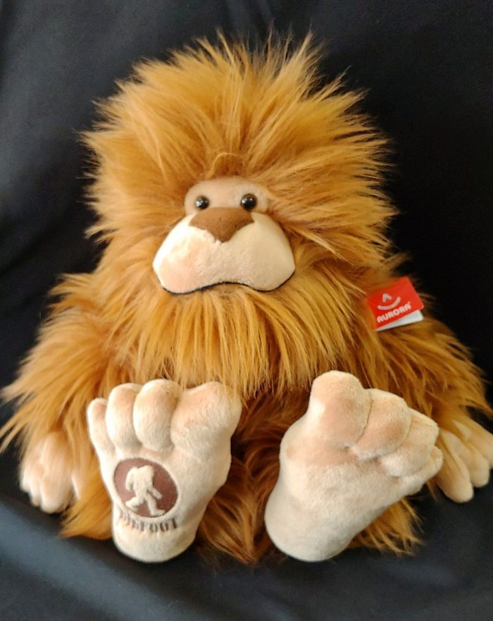 Aurora Big Foot