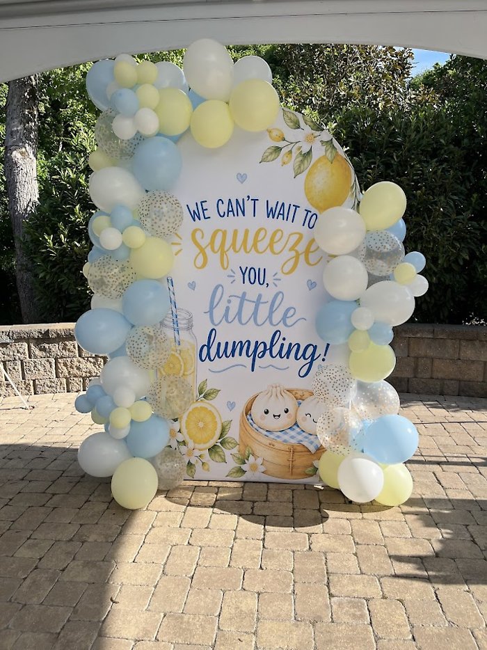 U-Shaped Backdrop with Baby Shower Garland