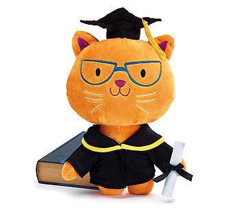 Grad Cat