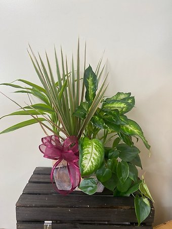 Stonewear Planter