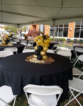 WFU Balloon Centerpiece