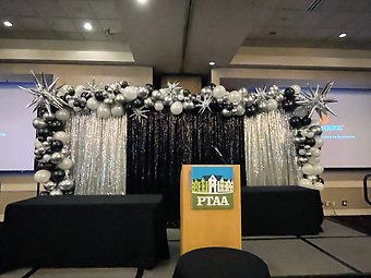 Black and Silver Sequined Backdrop