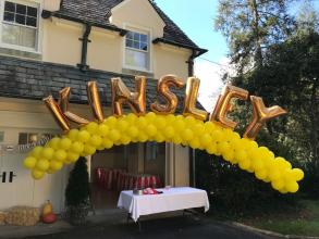 Kinsely\'s Party