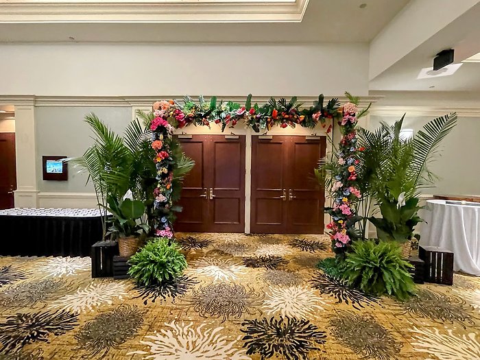 Havana Nights Plant Rentals