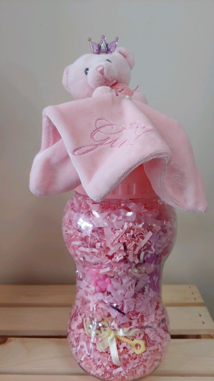 Baby Girl Bottle Bank Gift Set