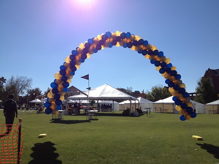 Outdoor Large Swirl Whirl Arch