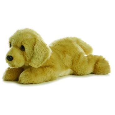 Goldie the Golden Retriever