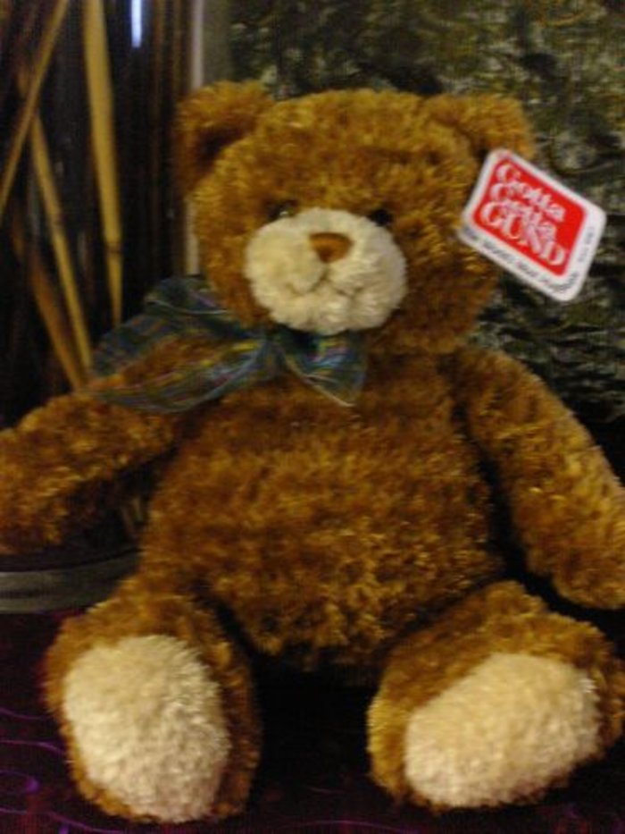Dylan Bear