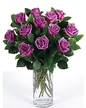 1 Dozen Purple Roses in a Vase