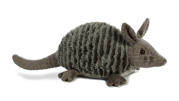 Armadillo