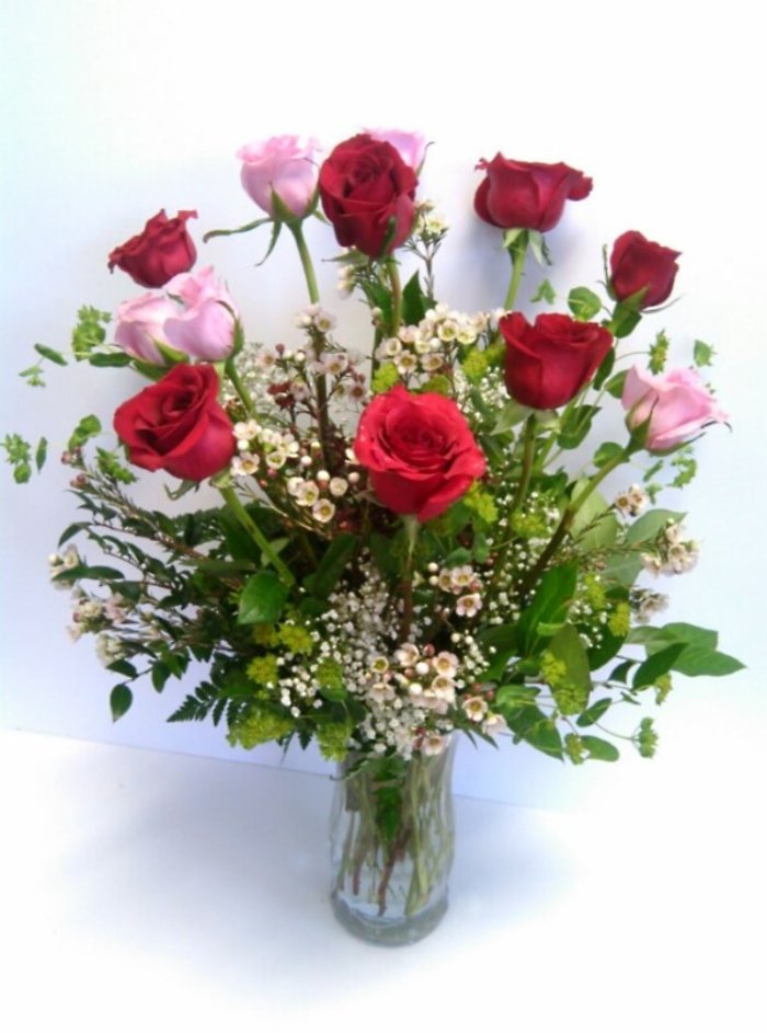 Always Yours Roses