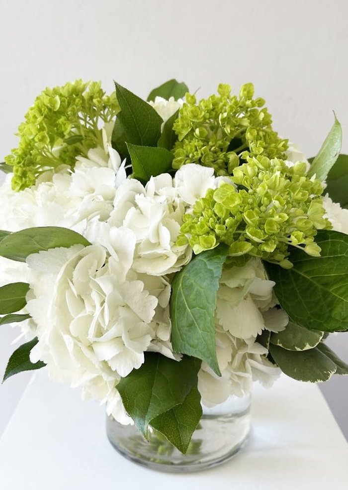 It\'s Raining Hydrangea\'s