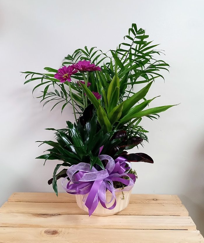 Dish Garden with Purple Accents