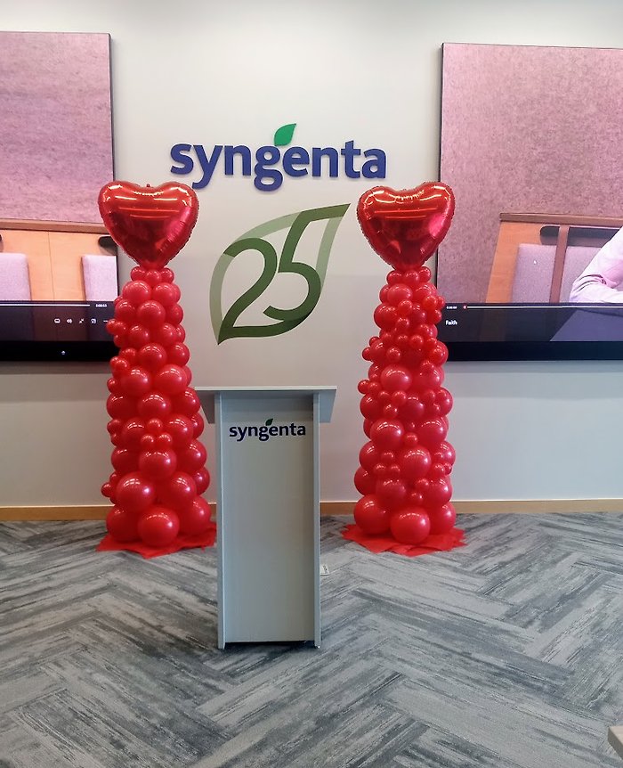 SYN Heart Columns