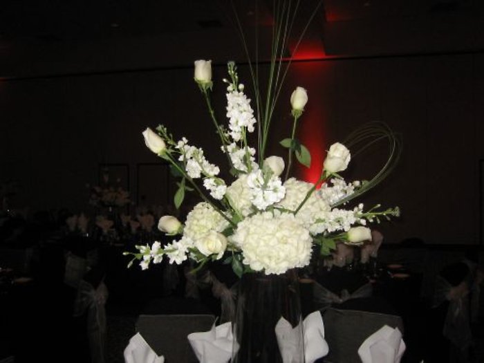 Bright White Hydrangeas