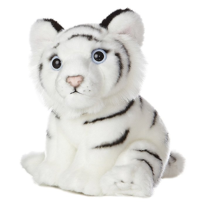 White Tiger Cub