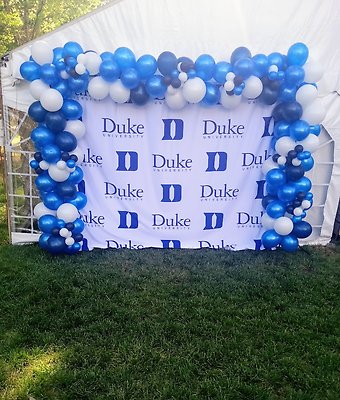Blue and White Balloon Garland