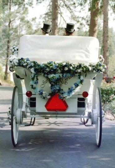 Wedding Carriage Ride