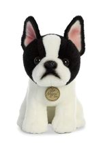 Boston Terrier Pup