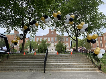 Floating Cluster Arch at Wake Forest