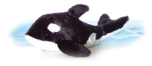 Splash Whale